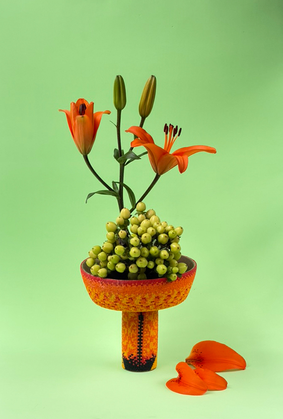 insecta-